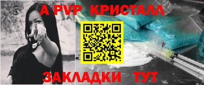крисы Можга
