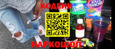 крисы Можга