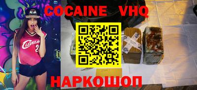 крисы Можга