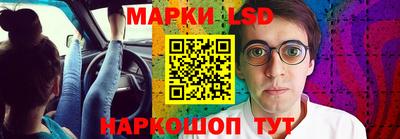 крисы Можга