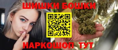 крисы Можга