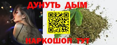 крисы Можга