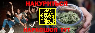 крисы Можга