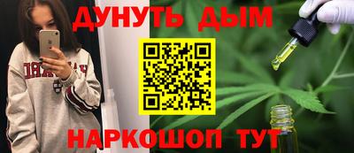 крисы Можга