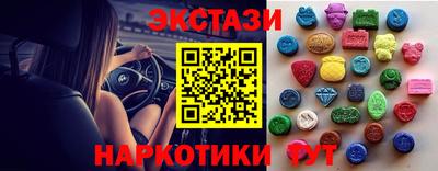 крисы Можга