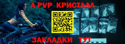 крисы Можга