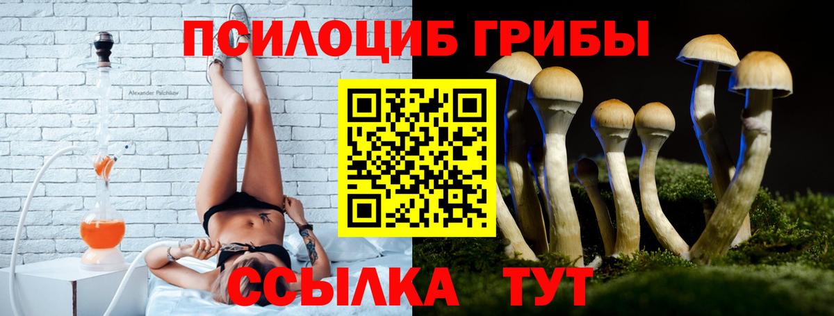 Галлюциногенные грибы GOLDEN TEACHER  Кинешма  Галлюциногенные грибы мухоморы 