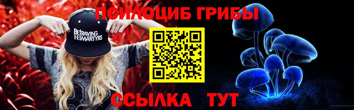 Кинешма  Галлюциногенные грибы мухоморы  Вход с VPN  Псилоцибиновые грибы прущие грибы 
