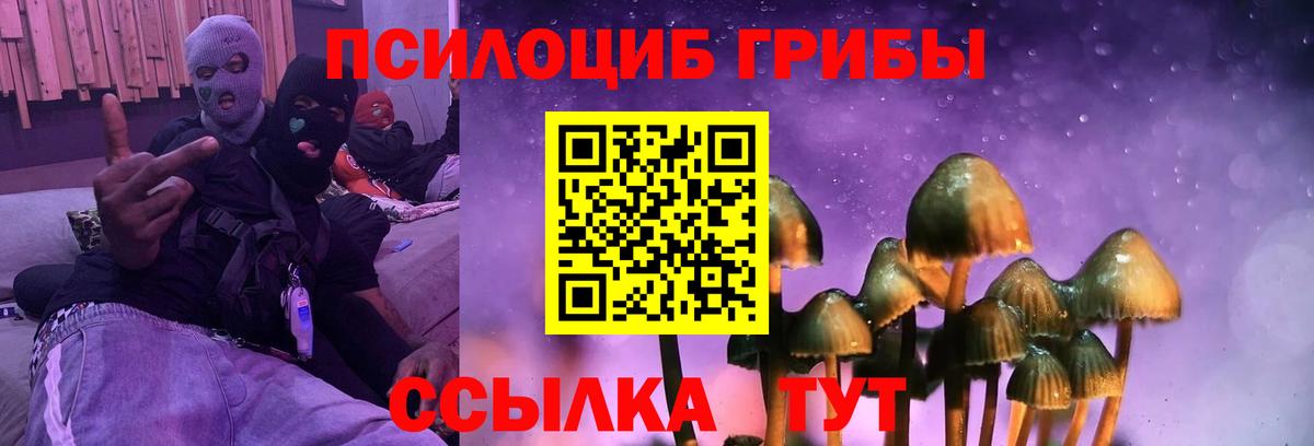 Псилоцибиновые грибы Magic Shrooms Кинешма
